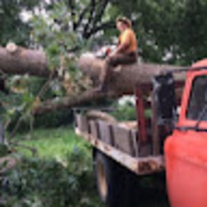 Meet your Posher, Cecil